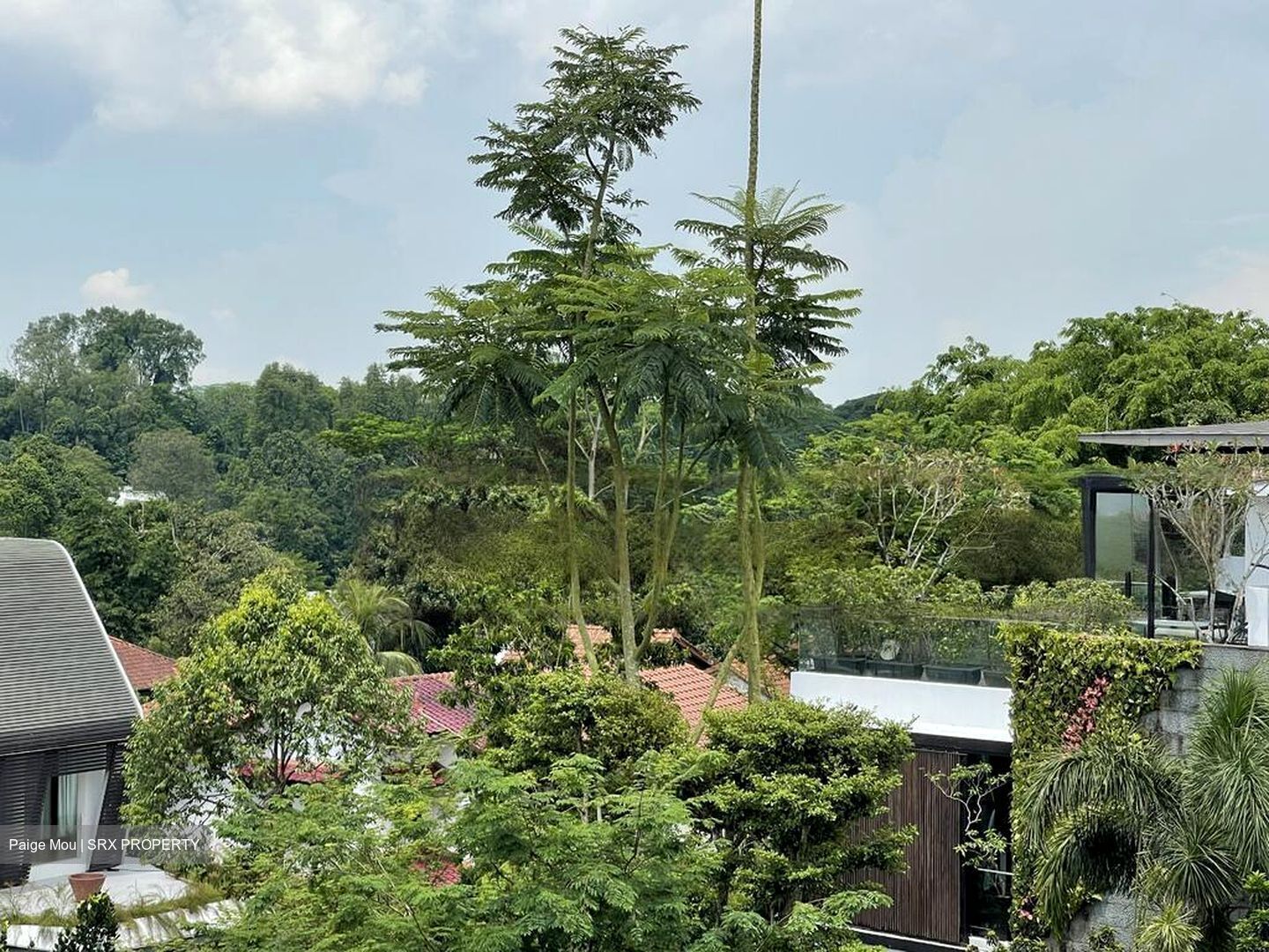 Bukit Way (D21), Detached #454861151